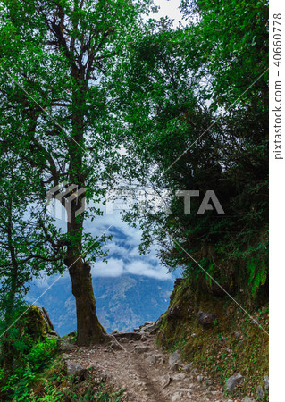 Nature of the Himalayas 40660778