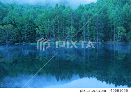 Shrine pond 40661066