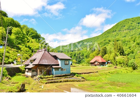 新鮮的綠色秋山村風景 照片素材 圖片 圖庫