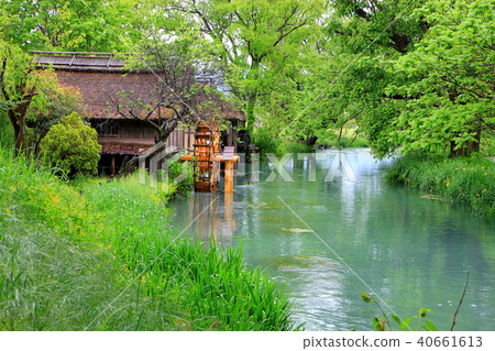 Fresh green Azumino floodplain river and water mill Fresh green Azumino floodplain river and water mill 40661613