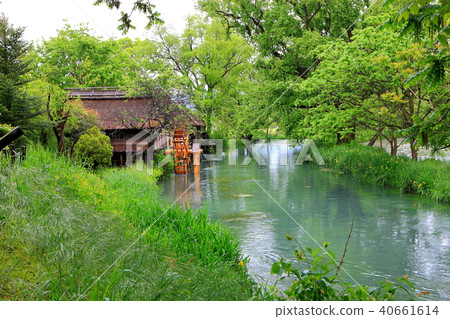 Fresh green Azumino floodplain's Kamogawa, water mill and the Bansui River Fresh green Azumino floodplain's Kamogawa, water mill and the Bansui River 40661614