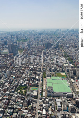 Sky tree  Sky tree  40661786