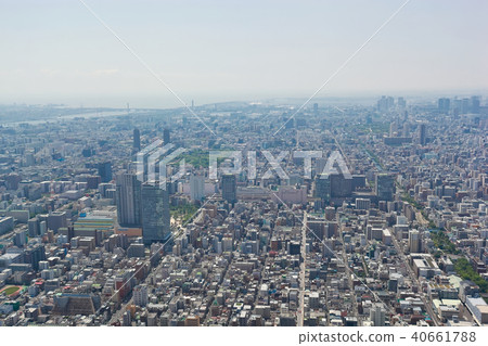 Sky tree  Sky tree  40661788