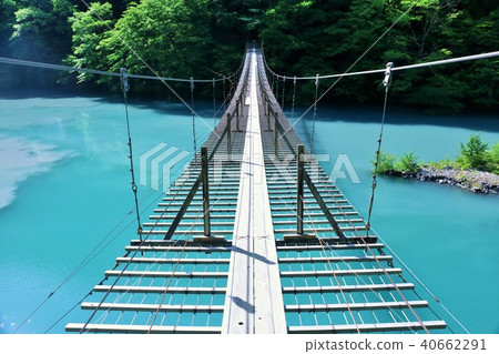 Shizuoka prefecture dream suspension bridge 40662291
