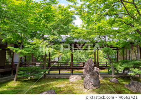 季節性花園 40662421