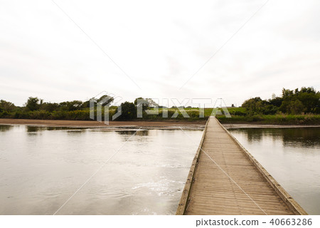 Ibaraki Ibaraki 40663286