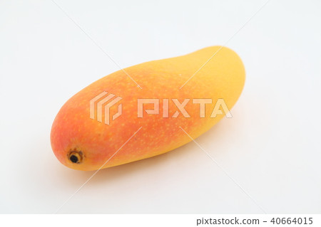 mango mango 40664015