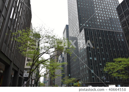 Cityscape of NewYork Cityscape of NewYork 40664558