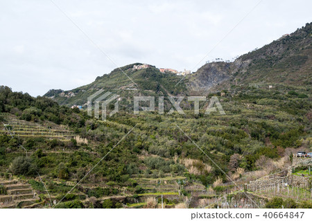 Cinque Terre(利古里亞,意大利)在山頂的Fornakki村莊在Corniglia Cinque Terre(利古里亞,意大利)在山頂的Fornakki村莊在Corniglia 40664847