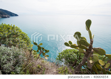Cinque Terre (Liguria, Italy) The coast of Corniglia Cinque Terre (Liguria, Italy) The coast of Corniglia 40664854