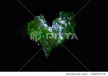 屋久島 屋久島 40665419