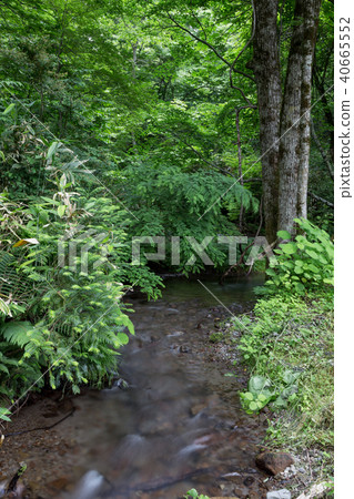 Kidanusawa Stream Kidanusawa Stream 40665552