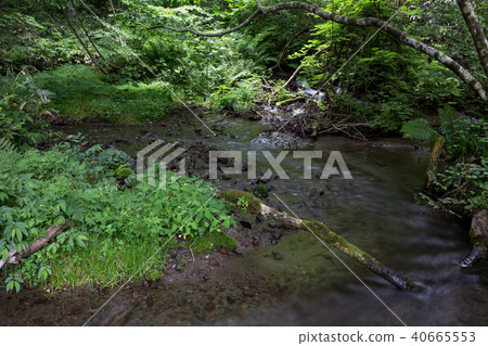 Kidanusawa Stream Kidanusawa Stream 40665553