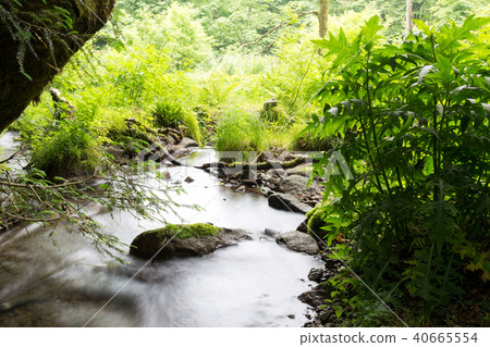 Kidanusawa Stream Kidanusawa Stream 40665554