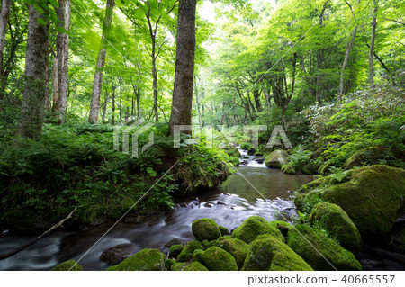 Kidanusawa Stream Kidanusawa Stream 40665557