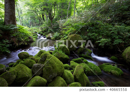 Kidanusawa Stream 40665558