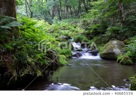 Kidanusawa Stream Kidanusawa Stream 40665559