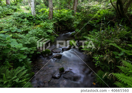 Kidanusawa Stream Kidanusawa Stream 40665560