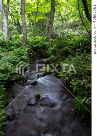 Kidanusawa Stream Kidanusawa Stream 40665561