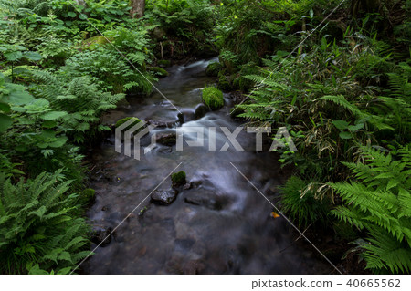 Kidanusawa Stream Kidanusawa Stream 40665562