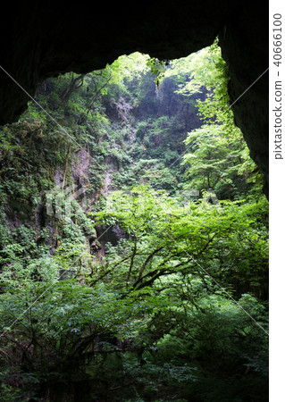 羅生門 羅生門 40666100