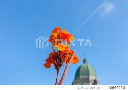 Saint Joseph's Oratory of Mount Royal located in M Saint Joseph's Oratory of Mount Royal located in M 40666230