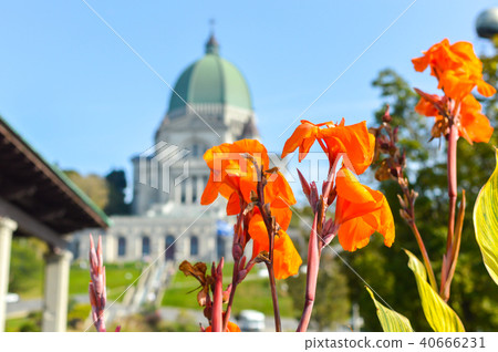 Saint Joseph's Oratory of Mount Royal located in M Saint Joseph's Oratory of Mount Royal located in M 40666231
