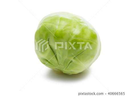 brussels sprouts isolated brussels sprouts isolated 40666565