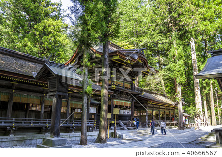 長野縣Su訪Taisha Shimosha Harugu Shrine 40666567