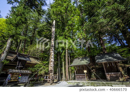 長野縣Su訪Taisha Lower Company Harumiya Onchi 長野縣Su訪Taisha Lower Company Harumiya Onchi 40666570