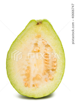 green guava isolated 40666747