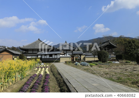 Road to Asuka Temple 40668082