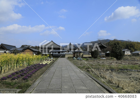 Road to Asuka Temple 40668083