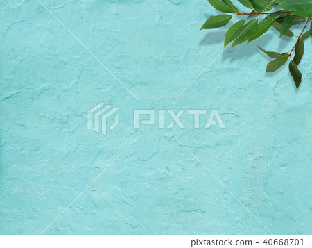 Background-Blue Wall-Leaves 40668701
