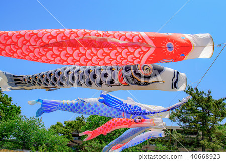 A carp streamer swimming in Mukawa river A carp streamer swimming in Mukawa river 40668923