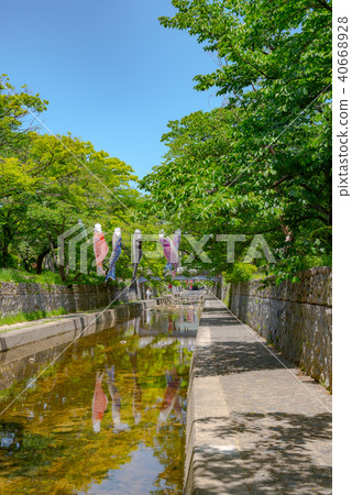 鯉魚飄帶游泳在Mukawa河 鯉魚飄帶游泳在Mukawa河 40668928