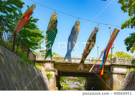 鯉魚飄帶游泳在Mukawa河 40668951