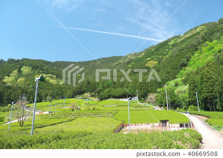 在天空Kamiga流岐阜的茶園 在天空Kamiga流岐阜的茶園 40669508