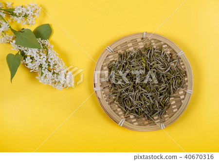 Chinese white tea and white lilac Chinese white tea and white lilac 40670316