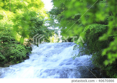 Yoro Gorge "Awamata Falls" with fresh greenery and abundant water 40670866
