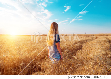 A girl walks through a field of ripe wheat 40671088