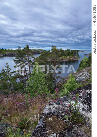 Background with colorful Ladoga lake landscape 40671089
