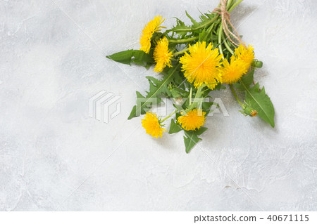 Bouquet of fresh yellow dandelion. Copy space. Bouquet of fresh yellow dandelion. Copy space. 40671115