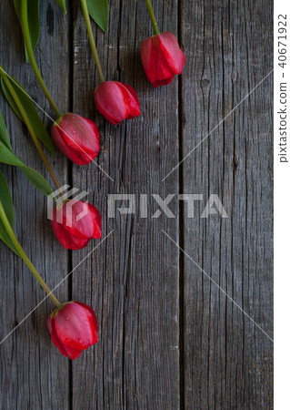 red tulips on wooden background 40671922