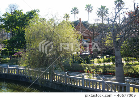 中國園林，竹林聖安寺，東方園林，花園 40677009