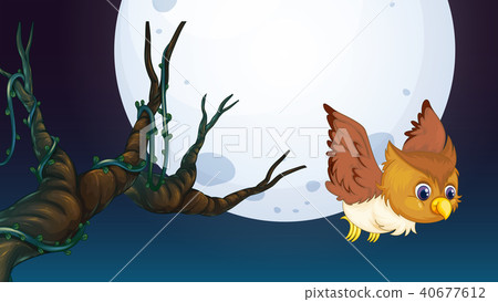 An Owl Hunting at Night An Owl Hunting at Night 40677612