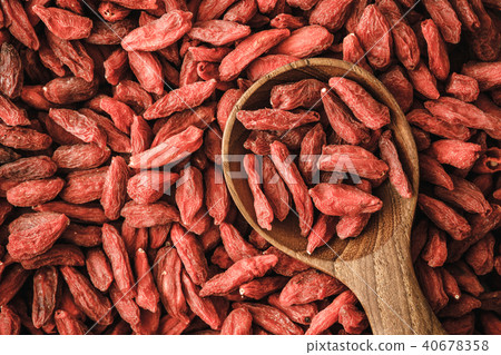 red dried goji berries background red dried goji berries background 40678358