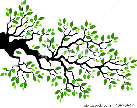 Green leaf tree branch illustration Green leaf tree branch illustration 40679647