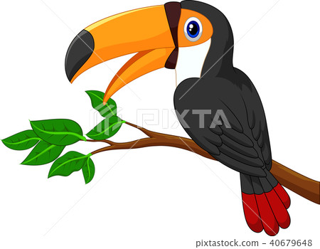 Cartoon toucan bird on a tree branch Cartoon toucan bird on a tree branch 40679648