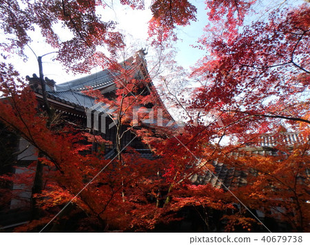 秋葉和建築物 秋葉和建築物 40679738